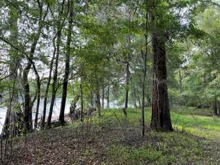 LOT 10 17th St - Photo 1