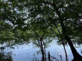 LOT 17 17th St - Photo 1