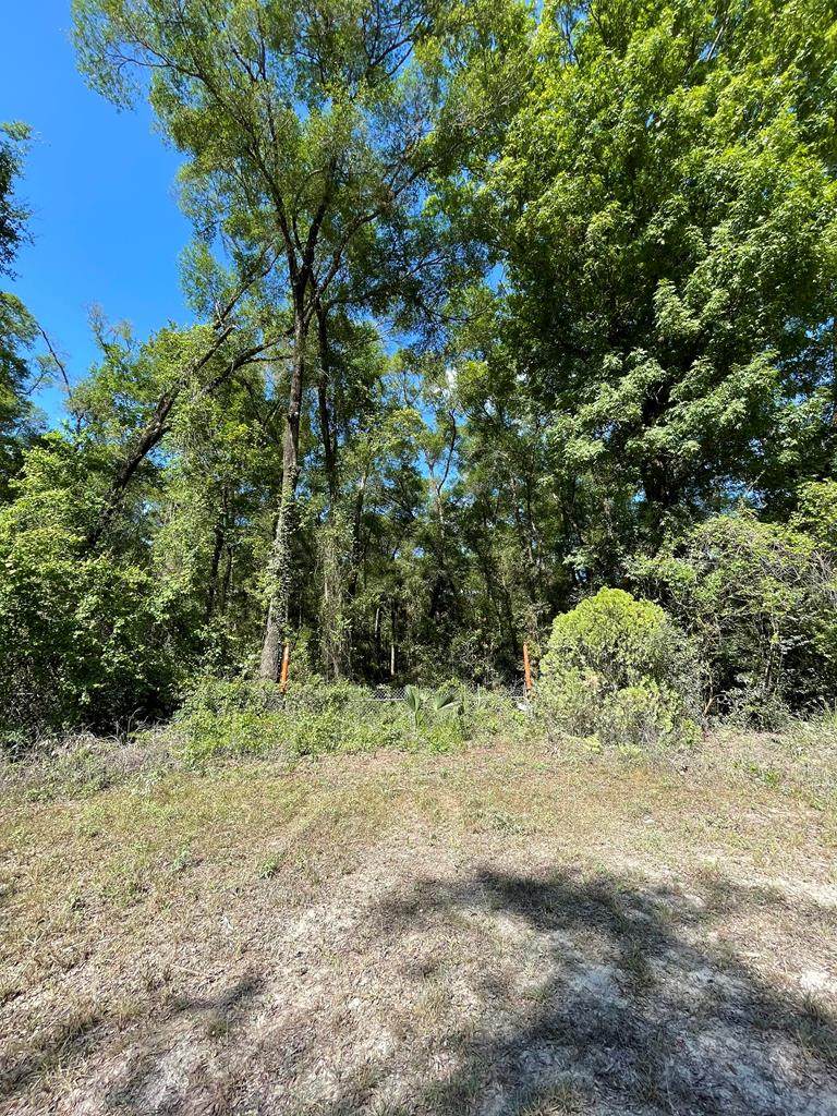 356 386th Ave - Photo 1