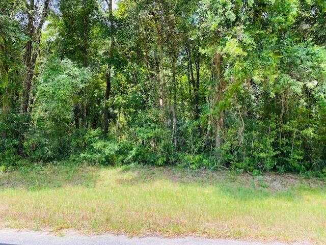 25th Ave - Photo 1