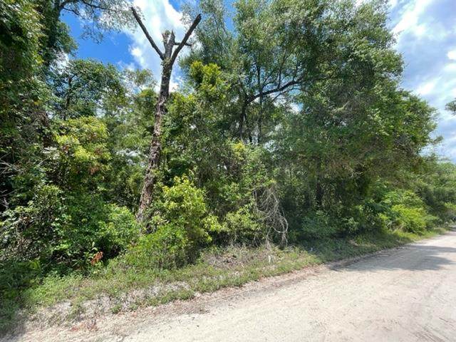 Lots 6-8 81st Ave - Photo 1