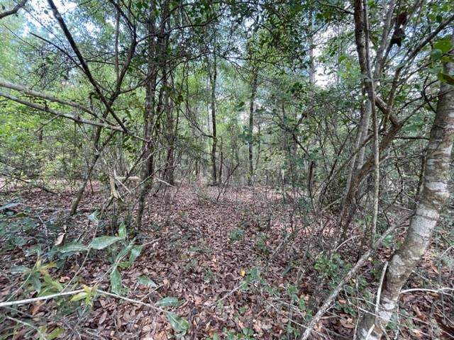 Lot17-20 830th St - Photo 1