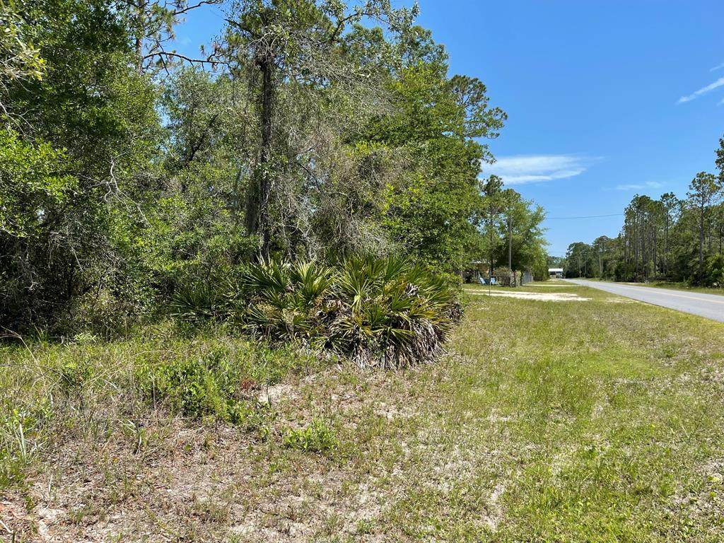 000 Bird Pond Rd - Photo 1
