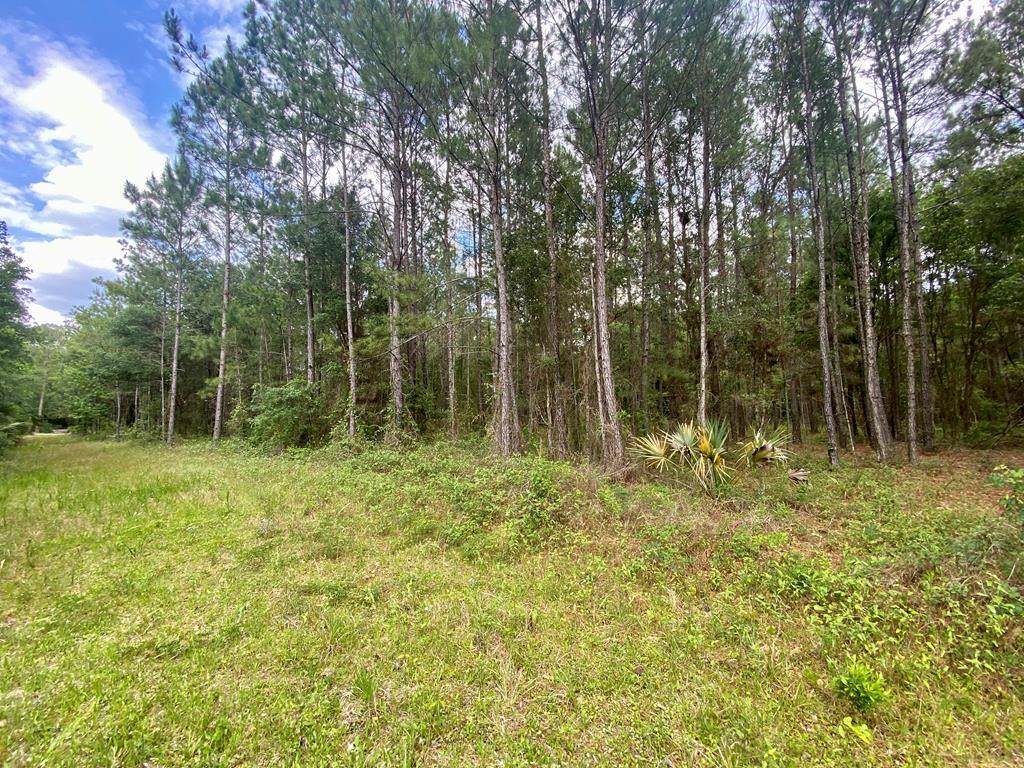 State Rd 24 - Photo 1