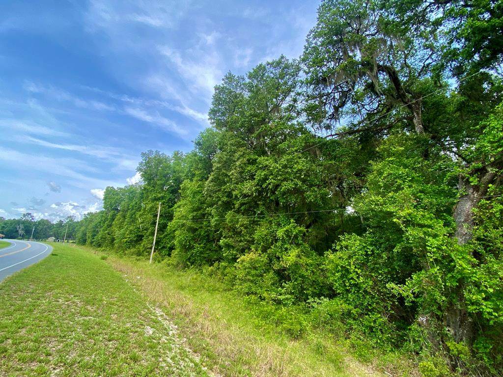 0000 Hwy 351 - Photo 1