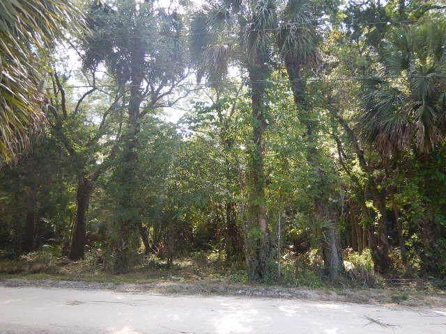 1416 Palm St - Photo 1