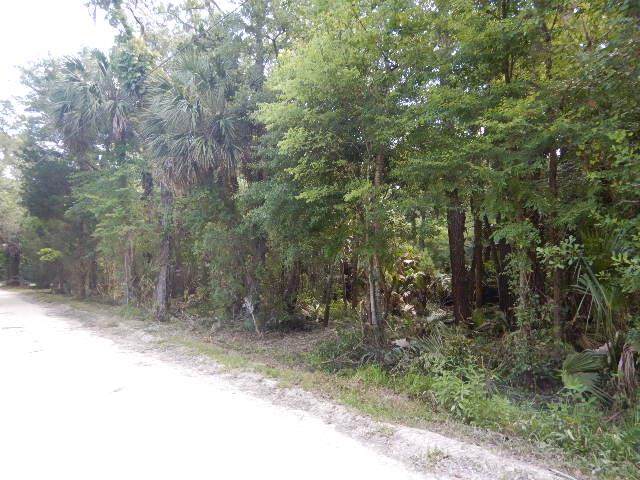 TBD Palm St - Photo 1