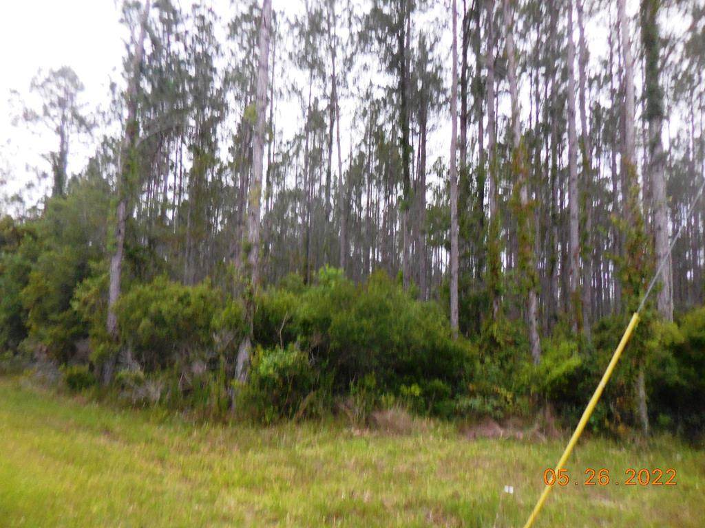 County Road 336 - Photo 1