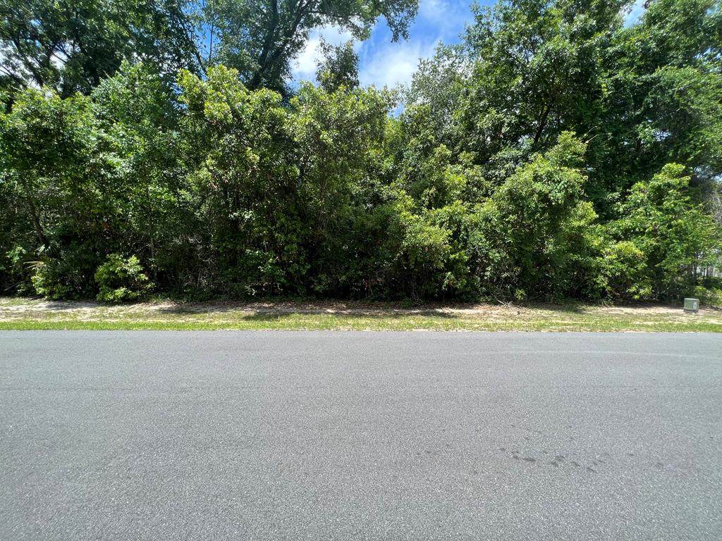 TBD Katherine Way - Photo 1