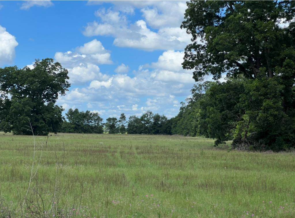 4589 County Road 307 - Photo 1
