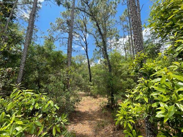 Lot17-20 537th Ave - Photo 1