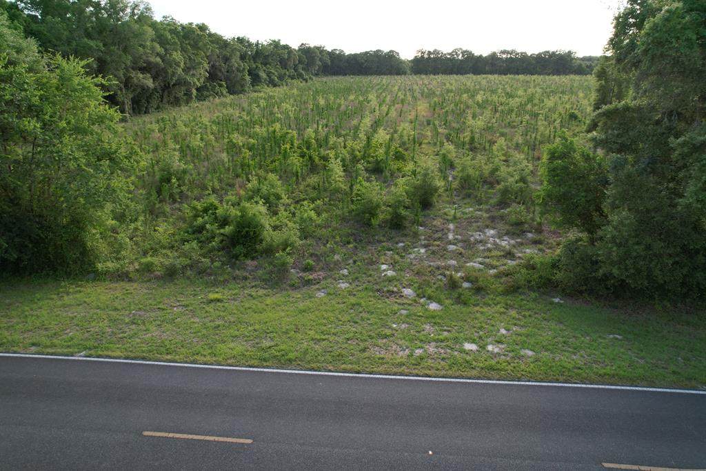 County Road 313 - Photo 1