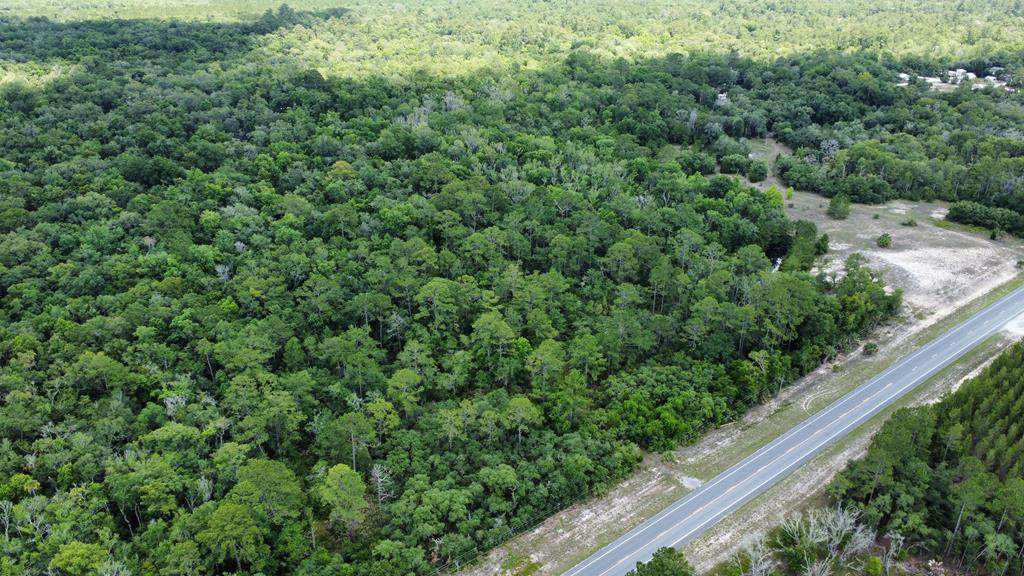 Hwy 51 - Photo 1