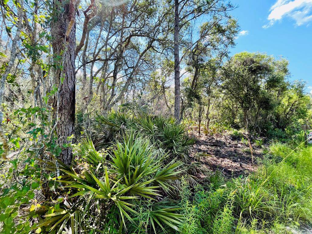 Lot 11 630th St - Photo 1