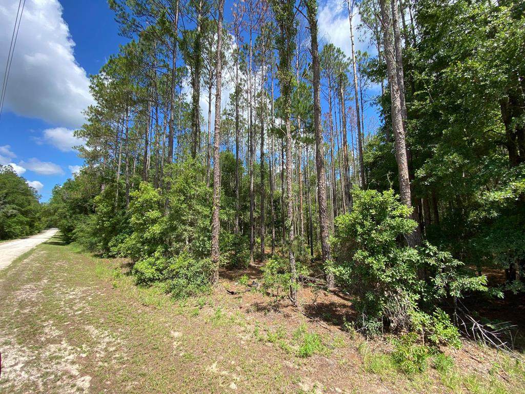 Lot 17 61st Ter - Photo 1