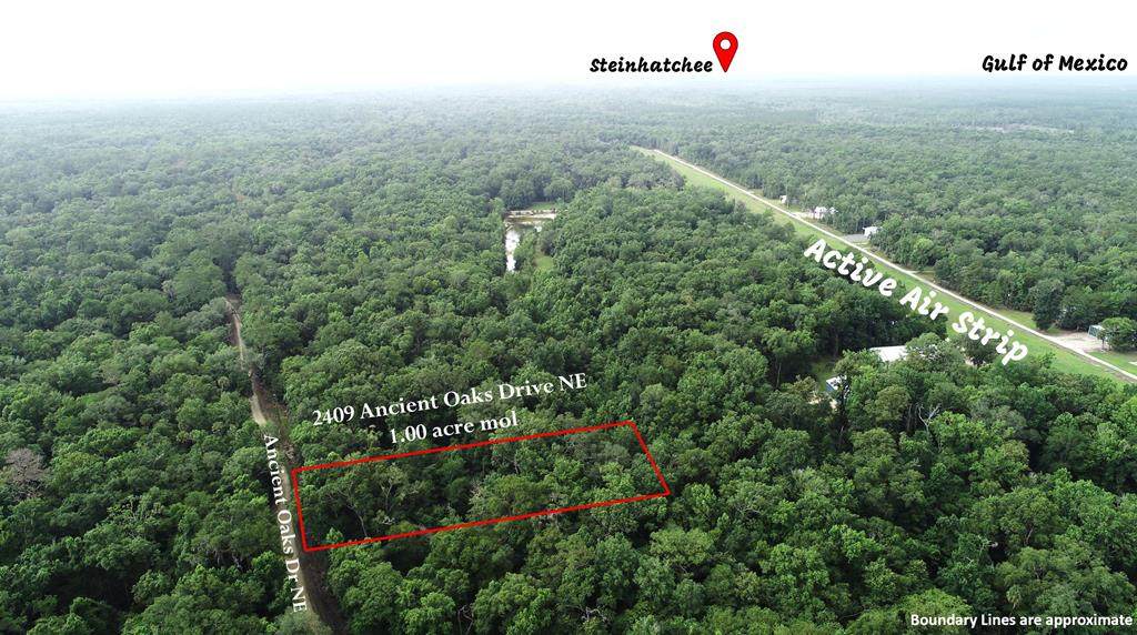 2409 Ancient Oaks Dr - Photo 1
