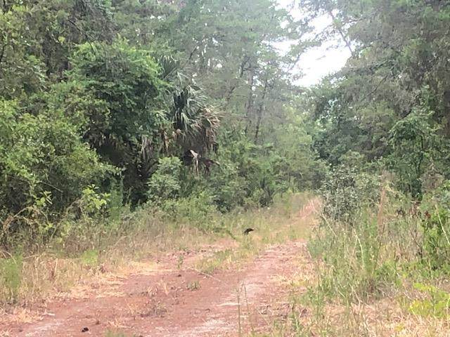 Lot 5 236th Ln - Photo 1