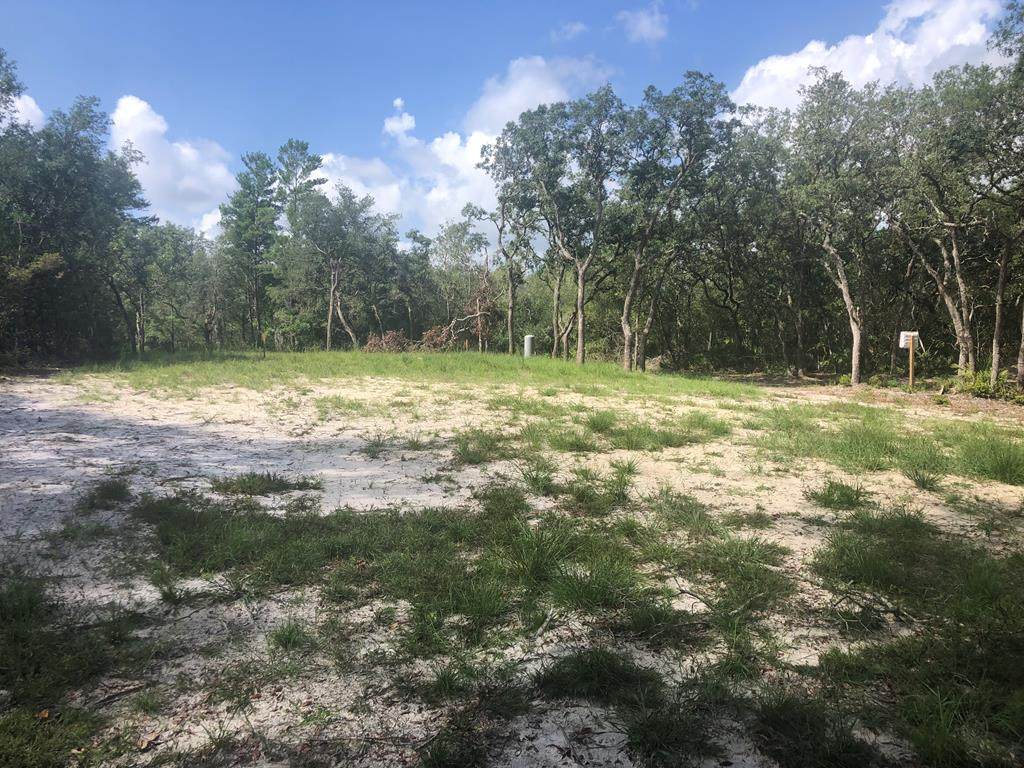 LOT 15 Riverview Rd - Photo 1