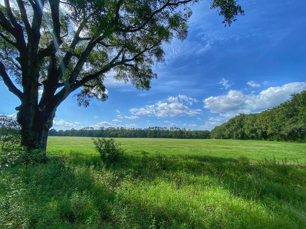 00 County Road 340 - Photo 1