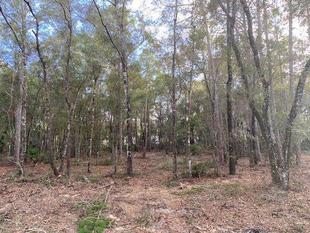Lot 36 White Oak Dr - Photo 1