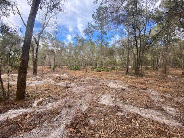 Lot 37 White Oak Dr - Photo 1