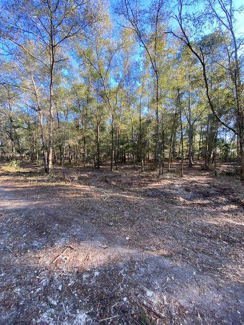 Lot 39 White Oak Dr - Photo 1