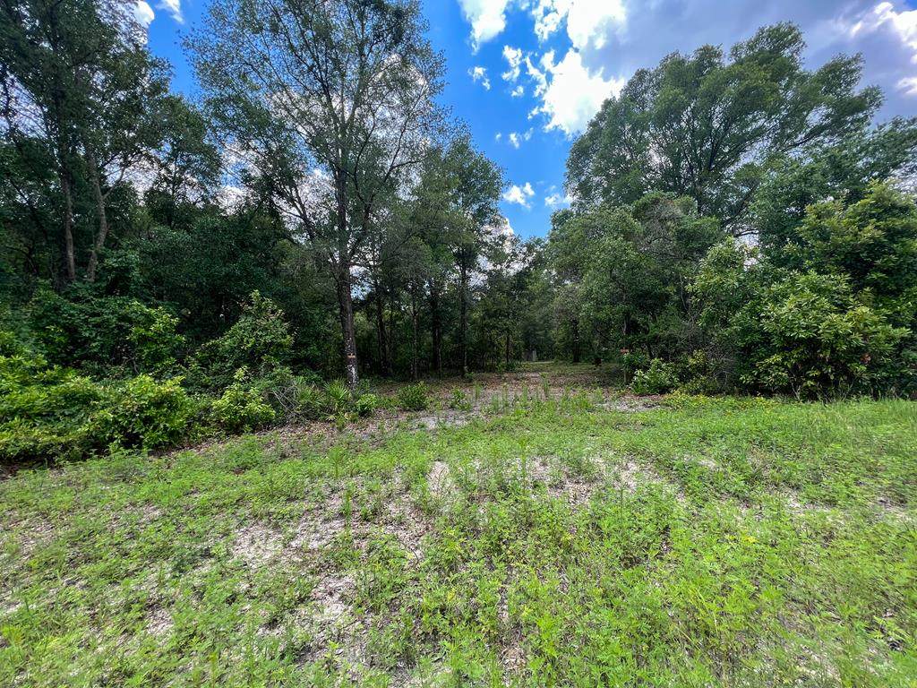 462 630th St - Photo 1