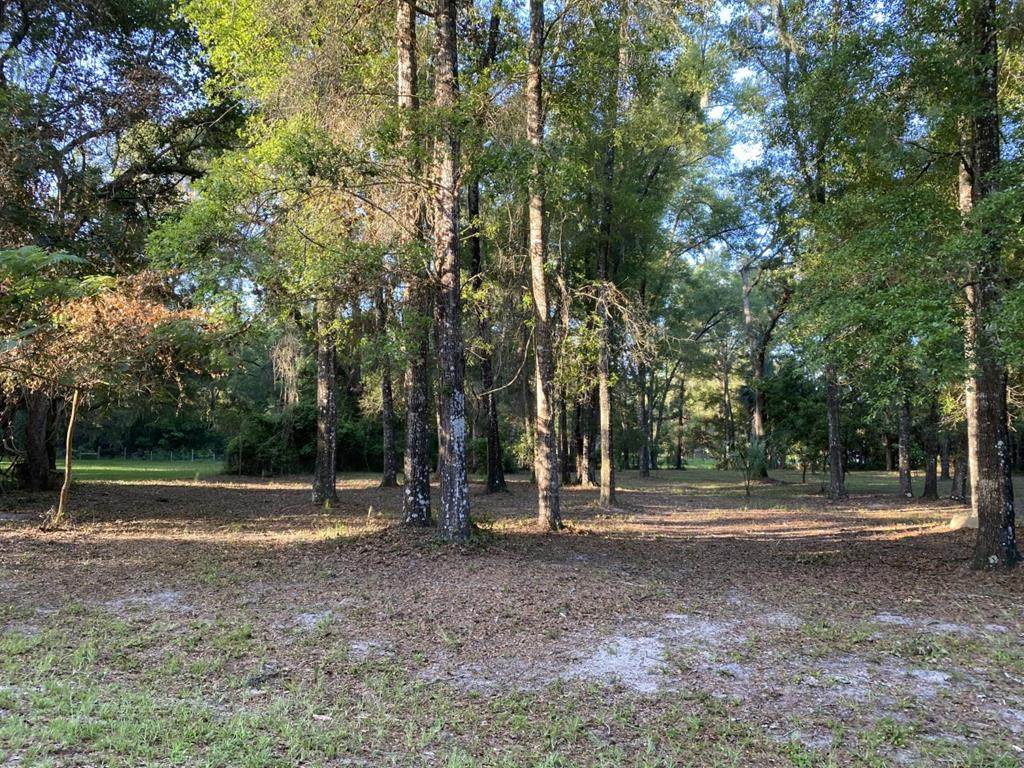 6850 90th Ln - Photo 1