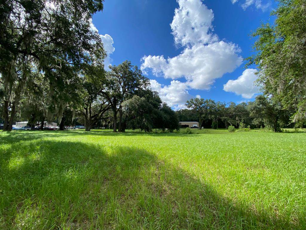Lot 4 70th Loop - Photo 1