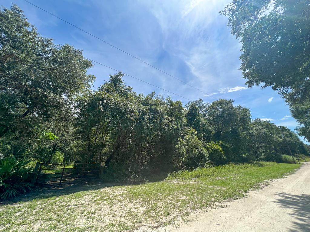 148 504th Ave - Photo 1