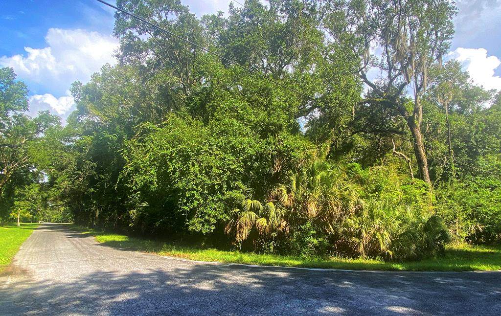 111th Ln - Photo 1