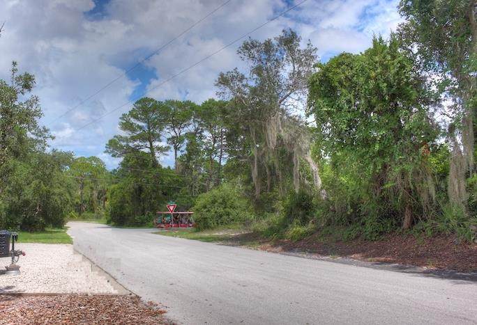 Lot 12 Susan St - Photo 1