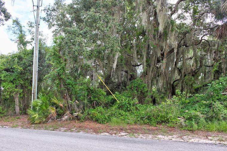 Lot 20 Sturgis Cir - Photo 1
