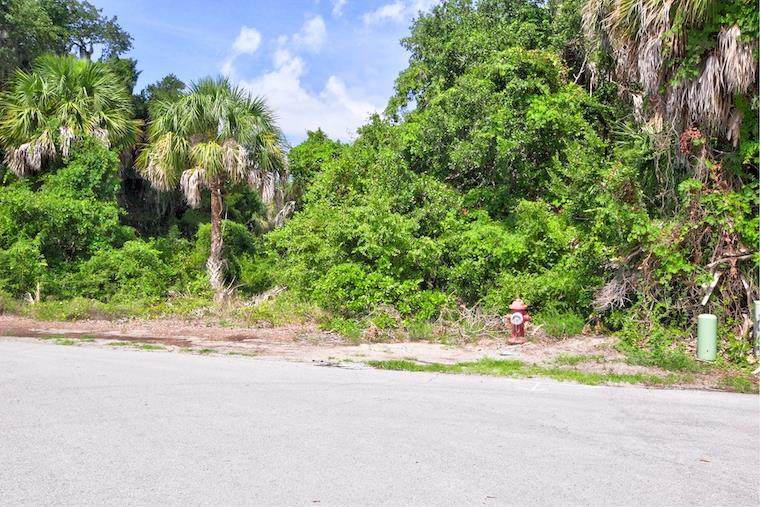 Lot 17 Sturgis Cir - Photo 1