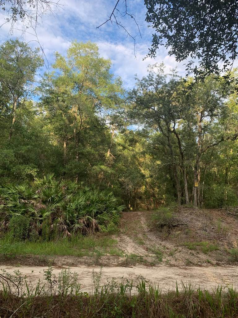 Unassign 826th St SE, Old Town, FL 32680 (MLS 784874) Hatcher