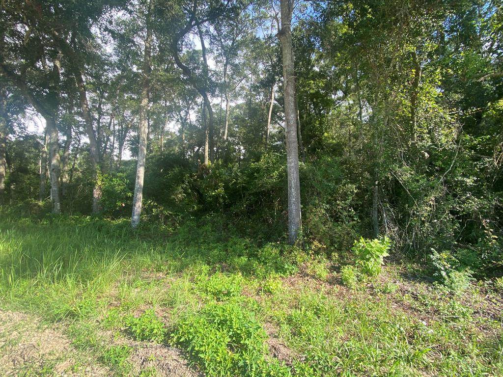 162nd St - Photo 1