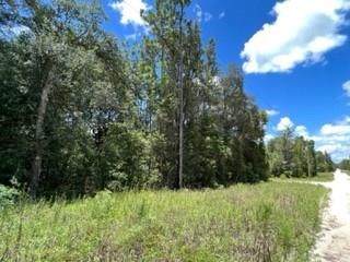 60th St - Photo 1