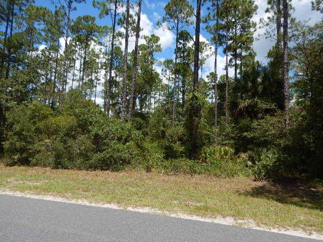 TBD Sugar Hill Rd - Photo 1