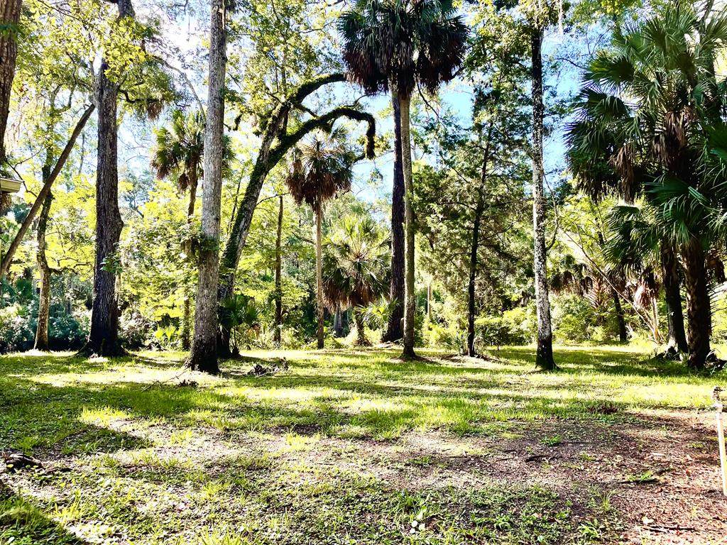 1408 Palm St - Photo 1