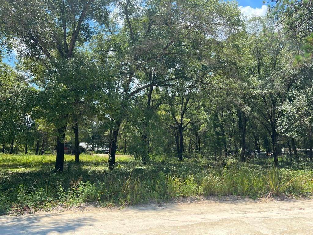 77th Ln - Photo 1