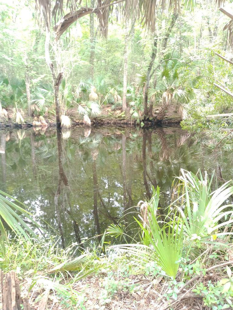 1400 Jr Howell Rd - Photo 1