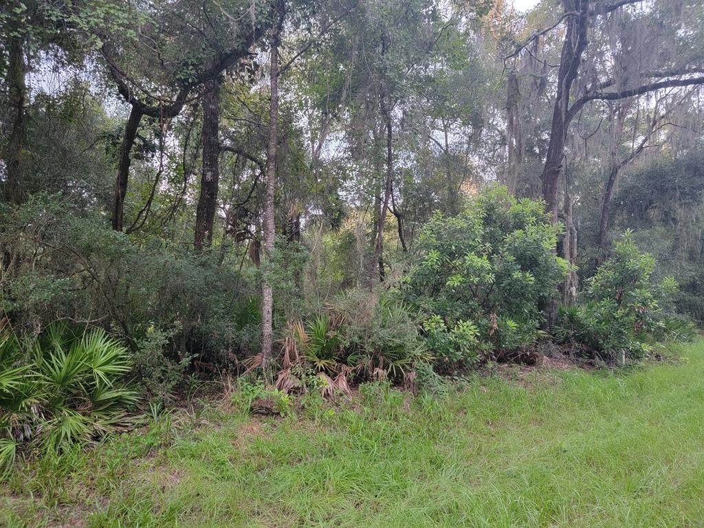 Lot 14 45th Ter - Photo 1