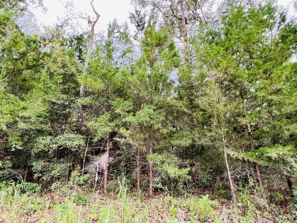 Lot 7 67th Pl - Photo 1