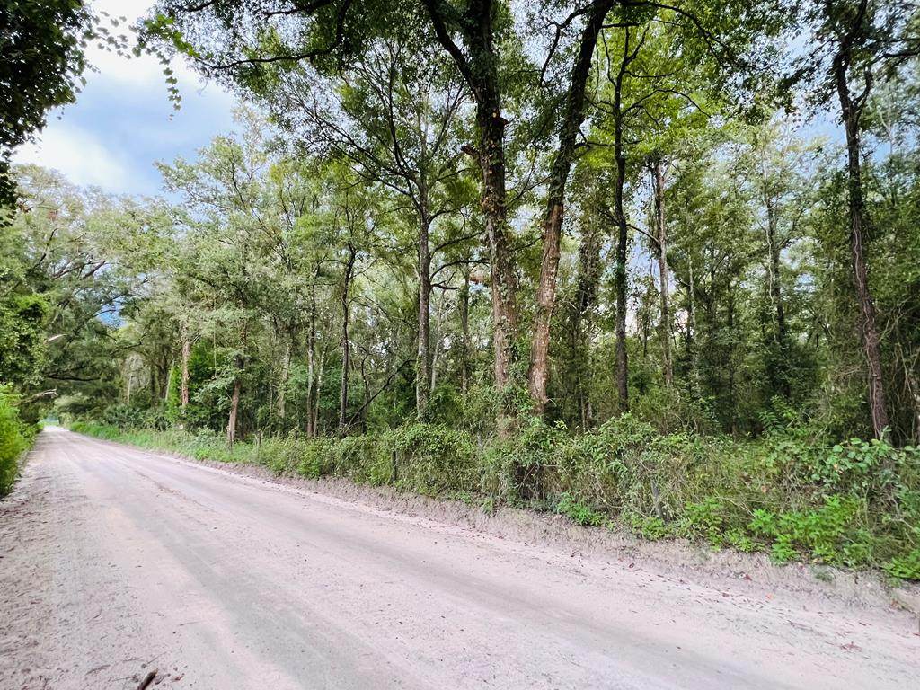 Lot 8 67th Pl - Photo 1