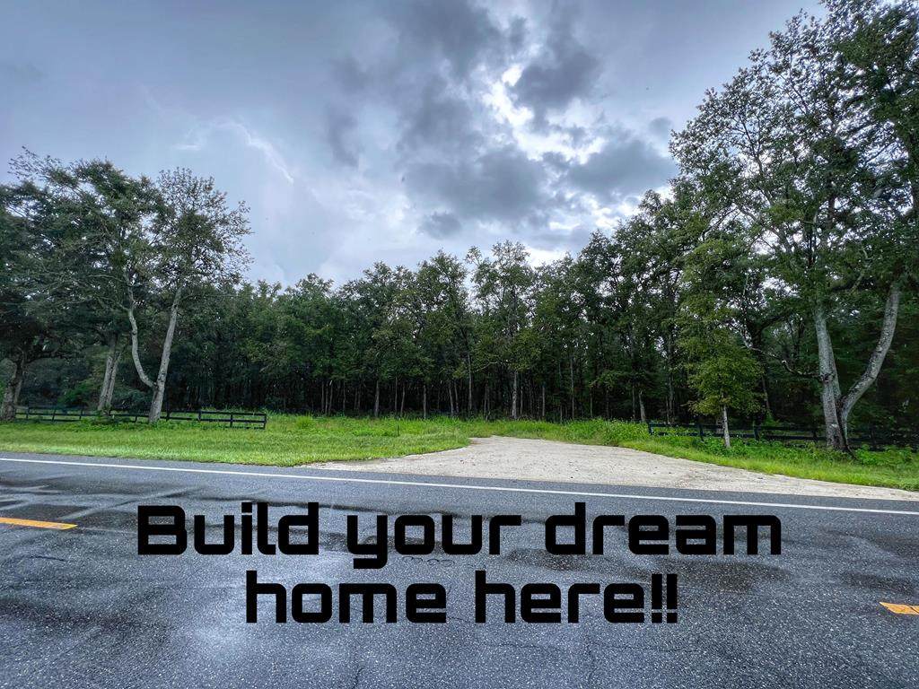 Lot 3 Us Hwy 129 - Photo 1