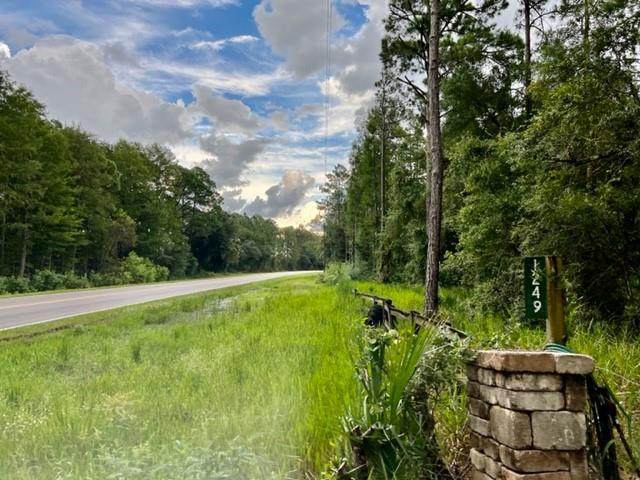 1249 County Road 232 - Photo 1