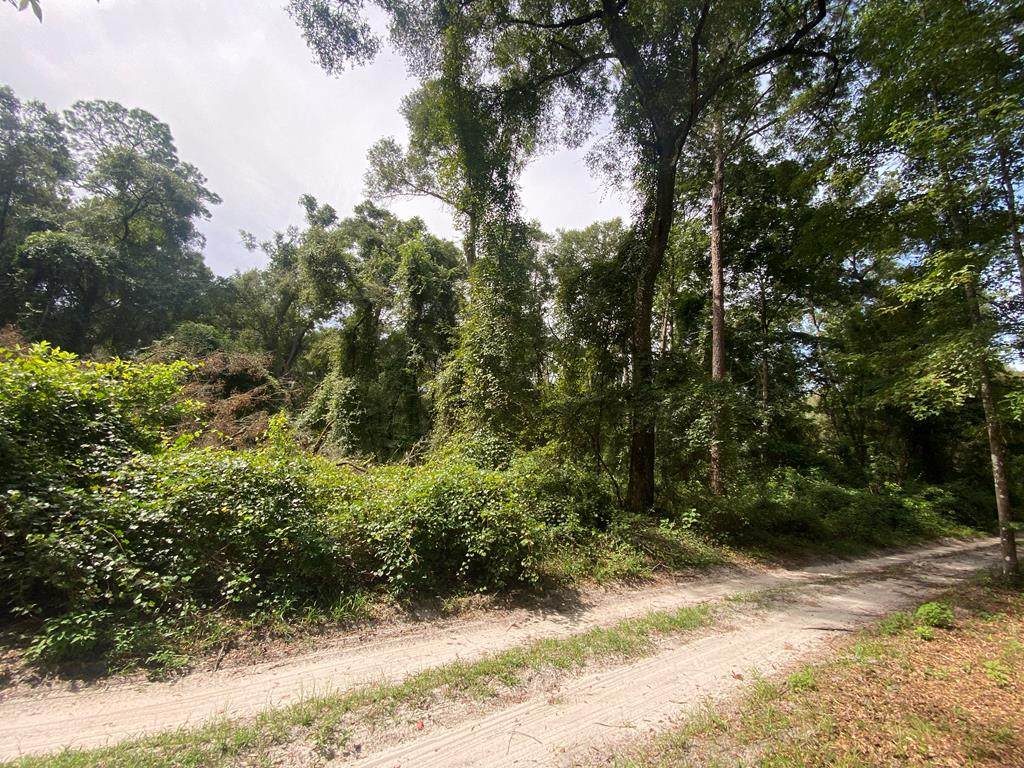 0000 166th Pl - Photo 1