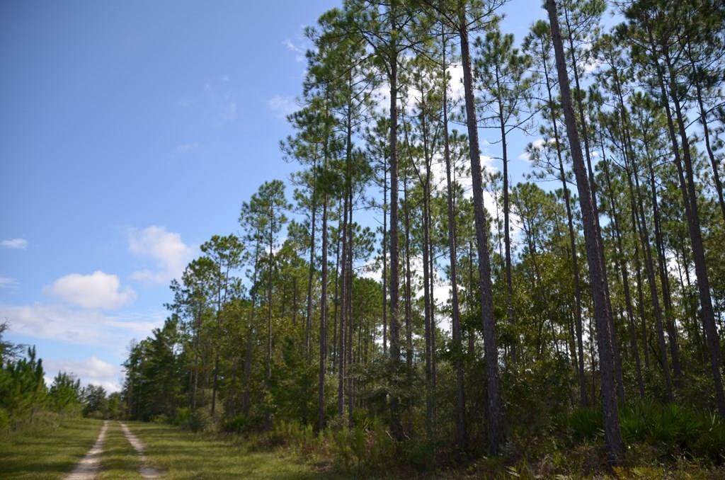 51st Way - Photo 1
