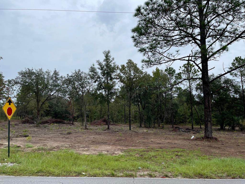 88th Ln - Photo 1