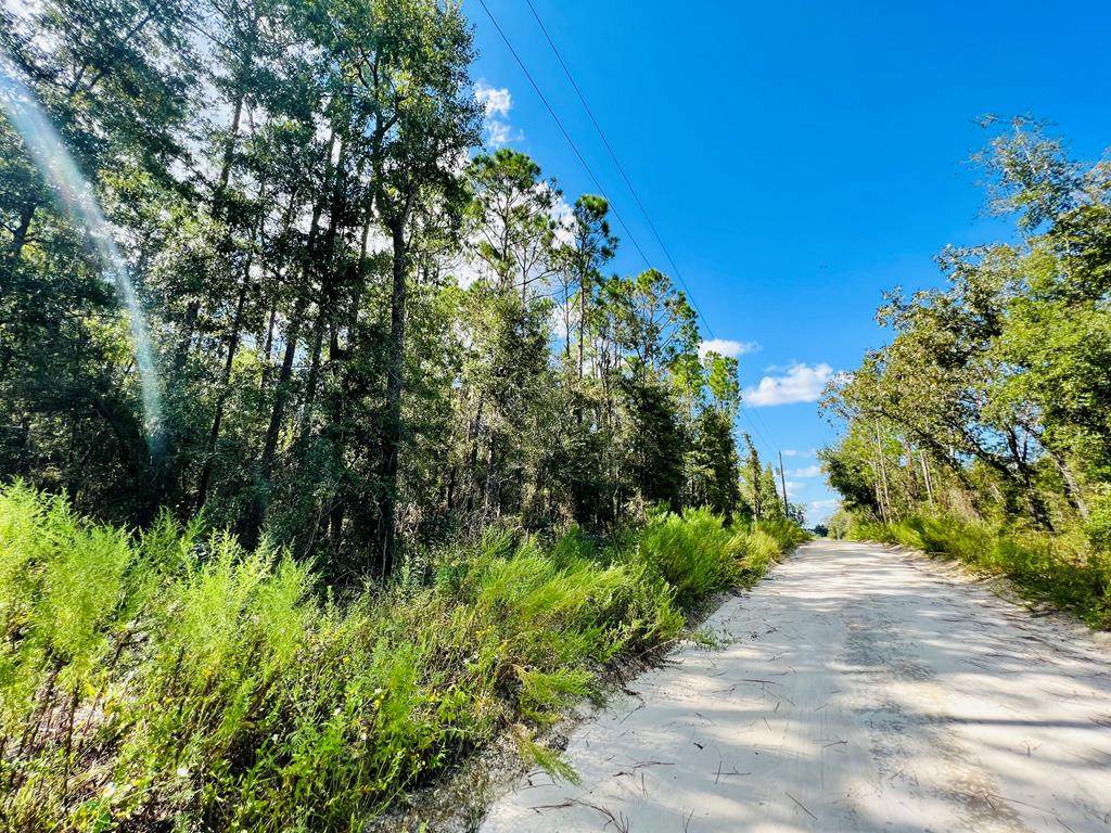 Lot 24 30th Ave - Photo 1